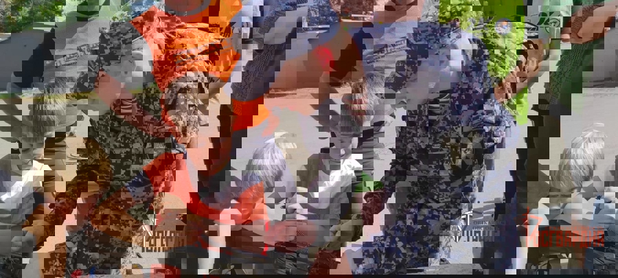 ...