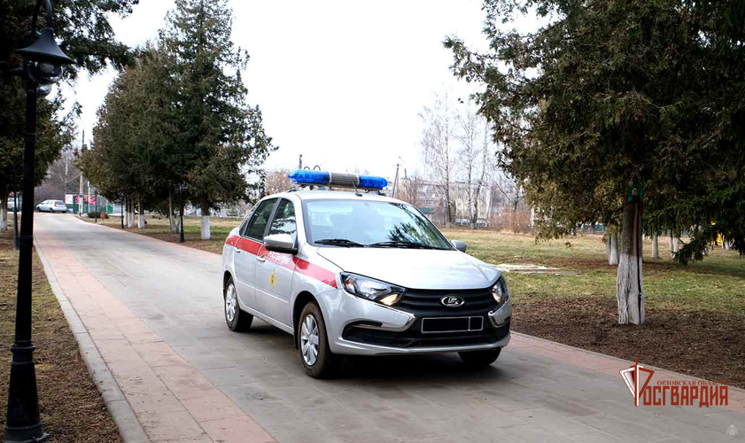 Сотрудники вневедомственной охраны пресекли кражу из магазина