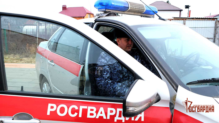 Росгвардейцы пресекли кражу из орловского торгового центра