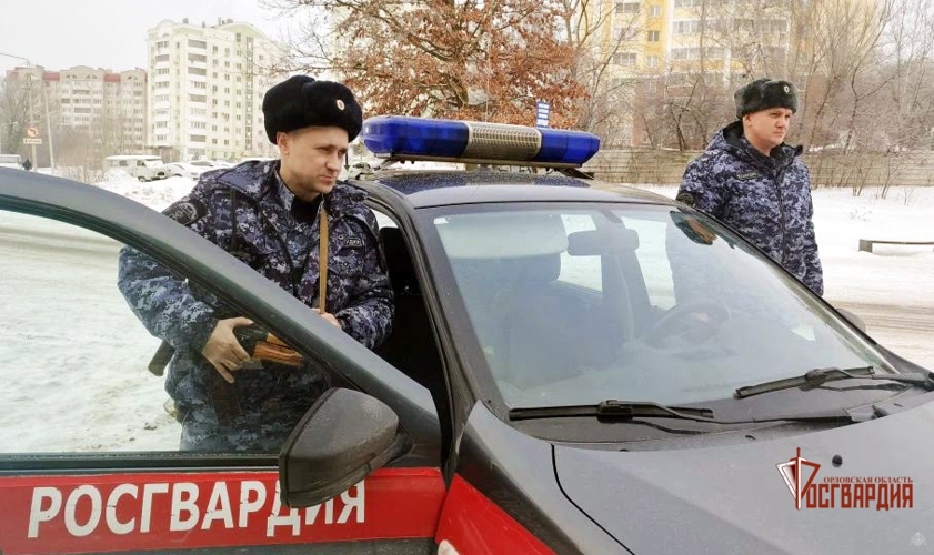 Орловские росгвардейцы задержали амчанина, подозреваемого в краже