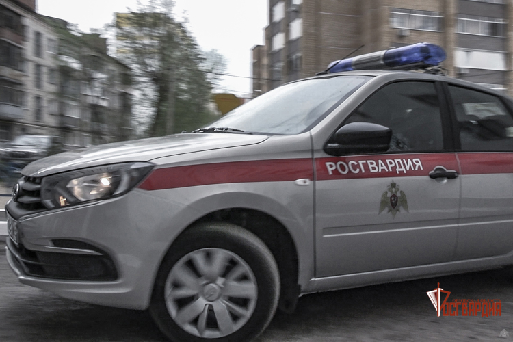 За месяц росгвардейцы задержали 17 лиц, подозреваемых в совершении противоправных действий